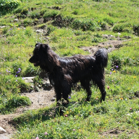 Urlaub im Allgäu (13)